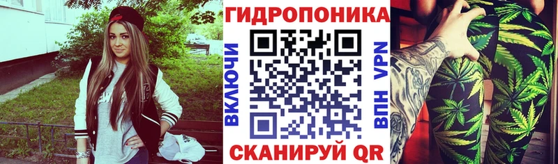 Купить наркотик аптеки Новоалександровск ГАШ  Кокаин  hydra зеркало  АМФ  Каннабис  МЕФ 