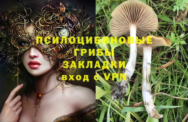 герыч Майский