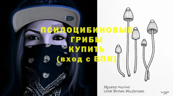 амф Магадан