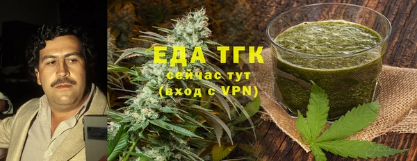 индика Мегион