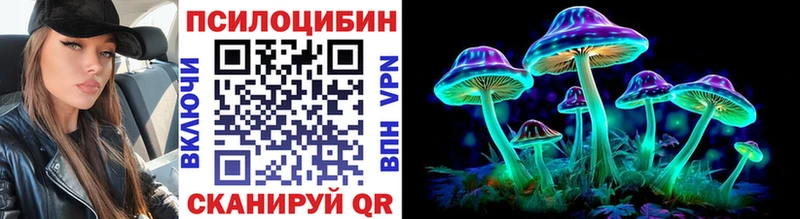 Псилоцибиновые грибы мицелий  Новоалександровск 