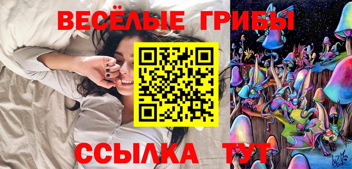 Галлюциногенные грибы Cubensis  Новоалександровск  как найти наркотики  Псилоцибиновые грибы Psilocybe 