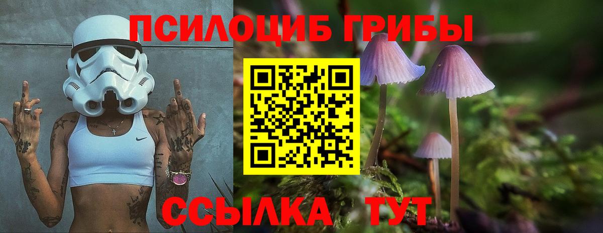 Псилоцибиновые грибы мухоморы  Вход с VPN  Новоалександровск  Псилоцибиновые грибы Psilocybine cubensis 