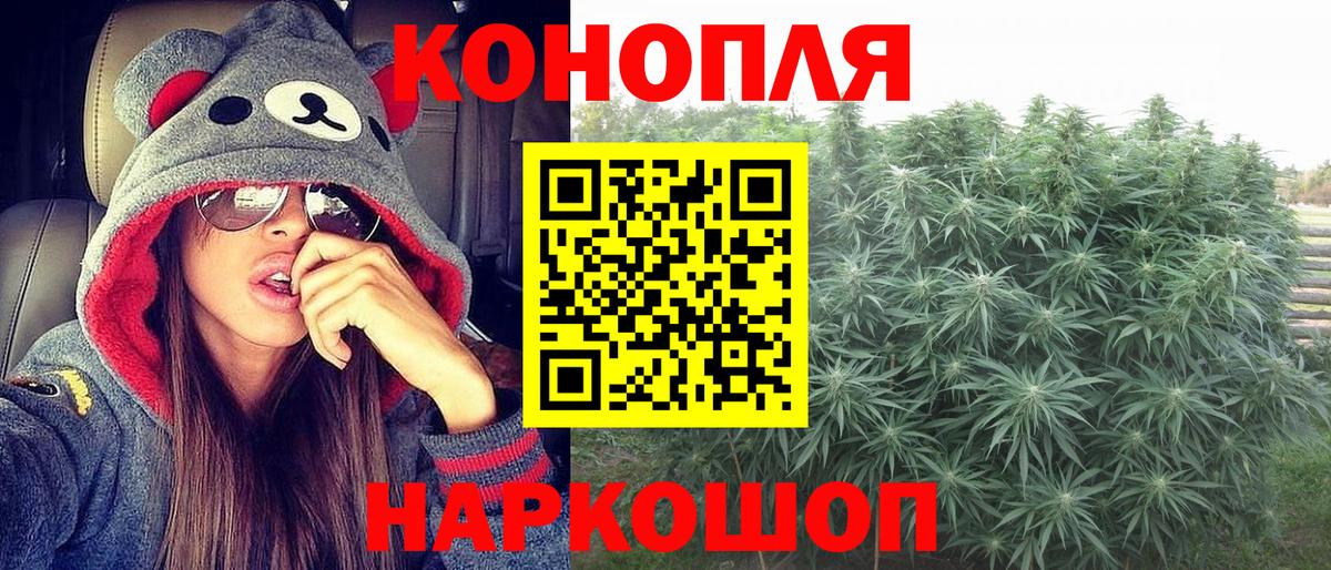 Марихуана планчик Новоалександровск
